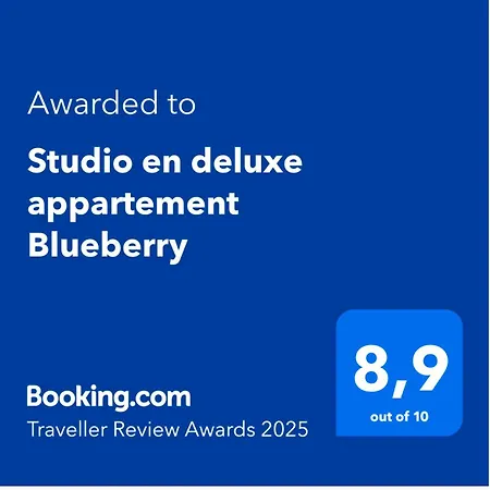 En Deluxe Blueberry Apartament